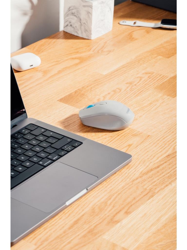 Everest SMW-87 Beyaz Optik Kablosuz Mouse