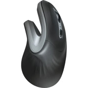 Trust Verro 23507 Kablosuz Optik Mouse - TEŞHİR
