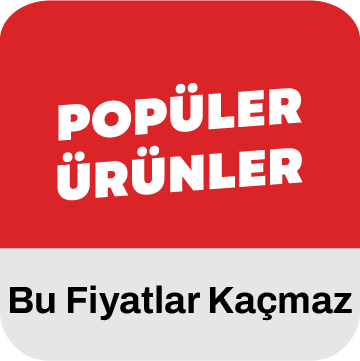 Dizüstü Bilgisayarlar