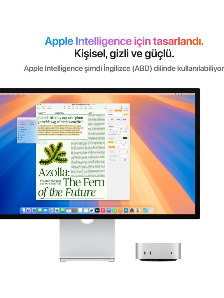 Mac Mini MU9E3TU/A Apple M4 16 GB 512 GB SSD Mini PC Outlet (Açıklamayı Okuyunuz)