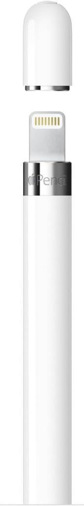 Apple Pencil (1. nesil) Teşhir