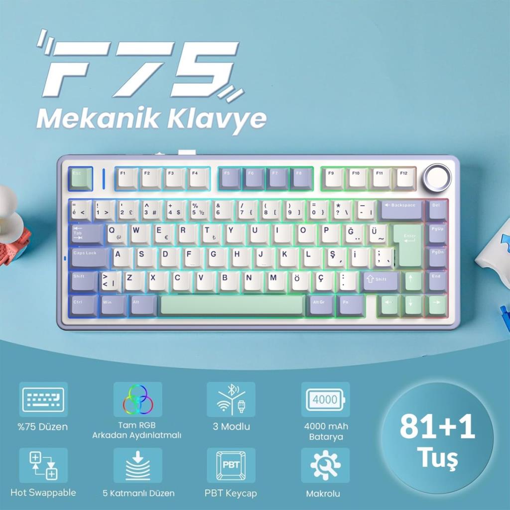 Aula F75 Bej RGB %75 TKL GrayWood V4 Switch Kablolu/Kablosuz Mekanik Oyuncu Klavyesi