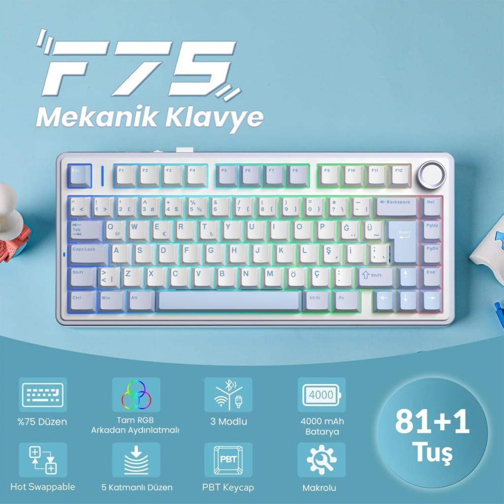 Aula F75 Mavi RGB %75 TKL GrayWood V4 Switch Kablolu/Kablosuz Mekanik Oyuncu Klavyesi Outlet