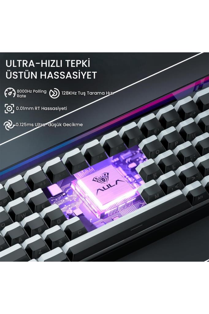 Aula Hero 68 HE Siyah RGB %65 TKL Jade King Switch Kablolu Mekanik Oyuncu Klavyesi Teşhir