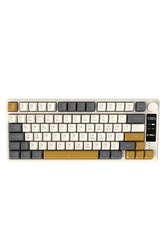Claws Flux Air RGB TKL Membrane Switch Kablolu/Kablosuz Oyuncu Klavyesi Teşhir