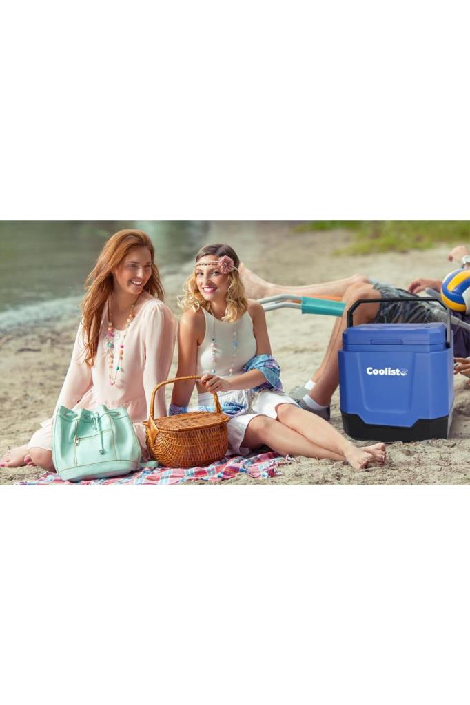 Coolist CLT33 12-220 V 33 lt Termoelektrikli Araç Buzdolabı