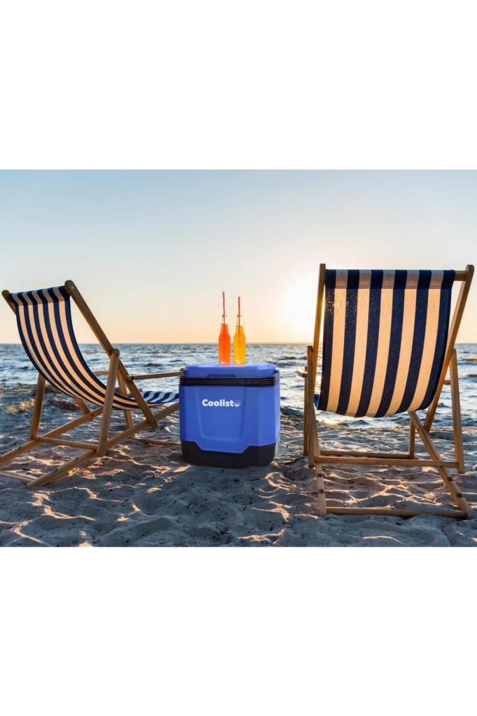 Coolist CLT33 12-220 V 33 lt Termoelektrikli Araç Buzdolabı