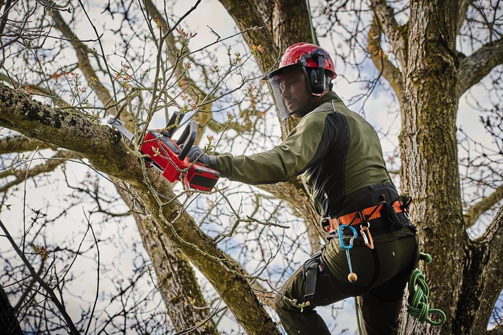 Einhell Fortexxa 18/20 TH Aküsüz Motorlu Testere Outlet