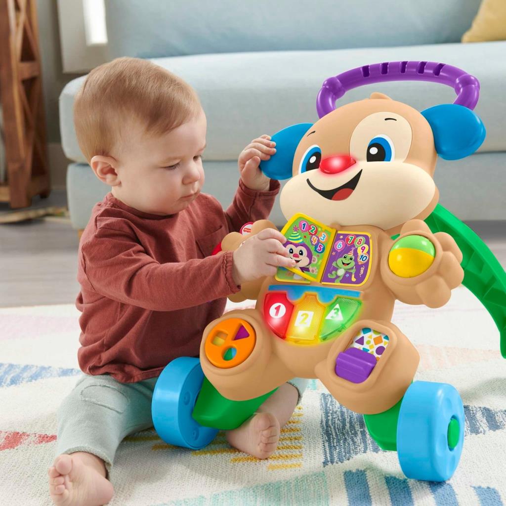 Fisher Price Eğitici Köpekçik Yürüteç FTG10 Teşhir