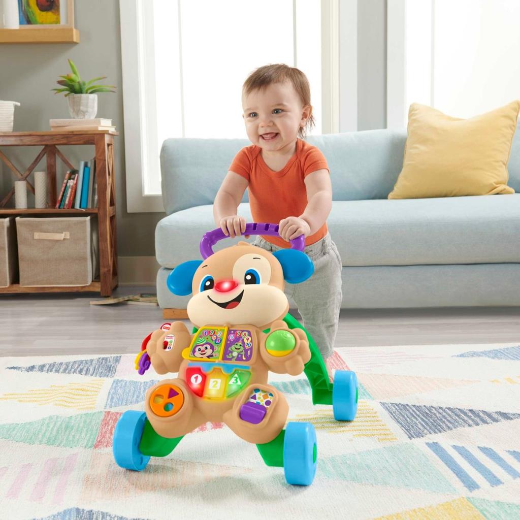 Fisher Price Eğitici Köpekçik Yürüteç FTG10 Teşhir