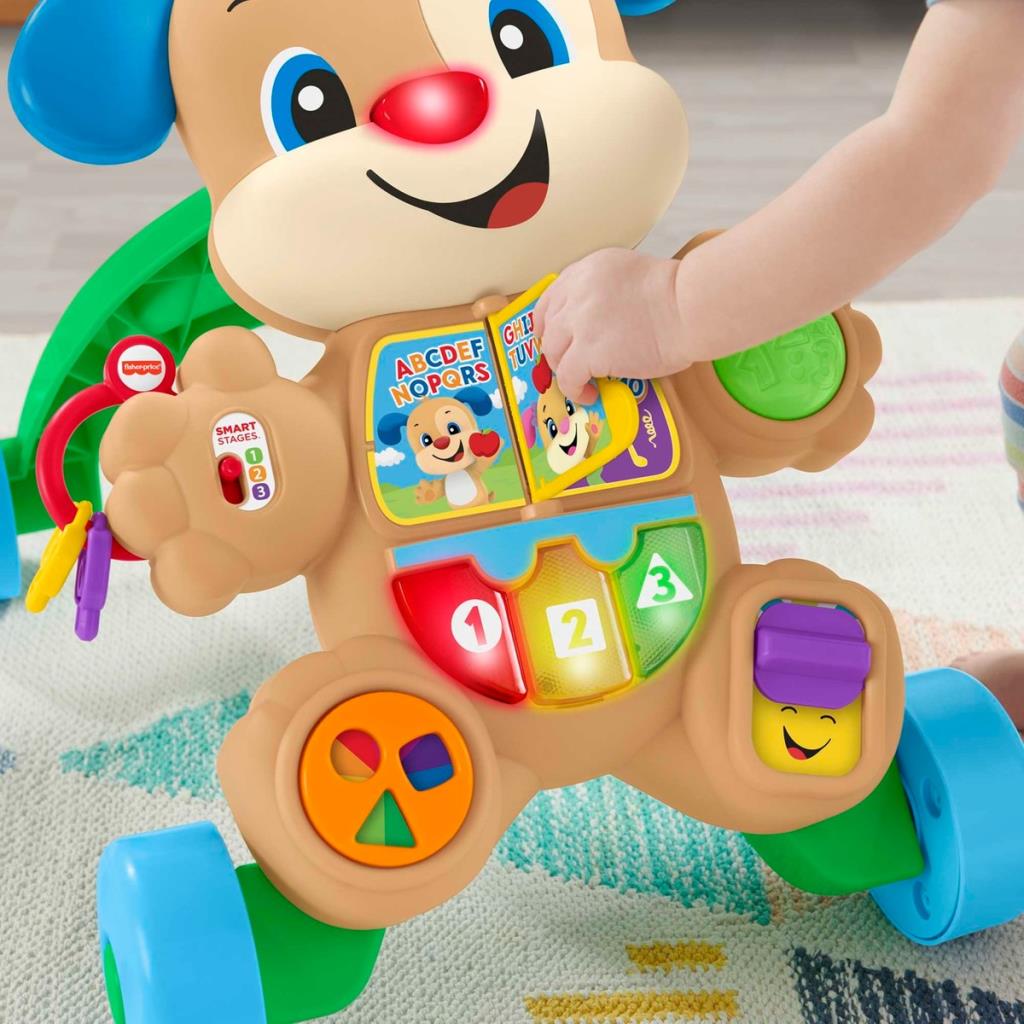 Fisher Price Eğitici Köpekçik Yürüteç FTG10 Teşhir