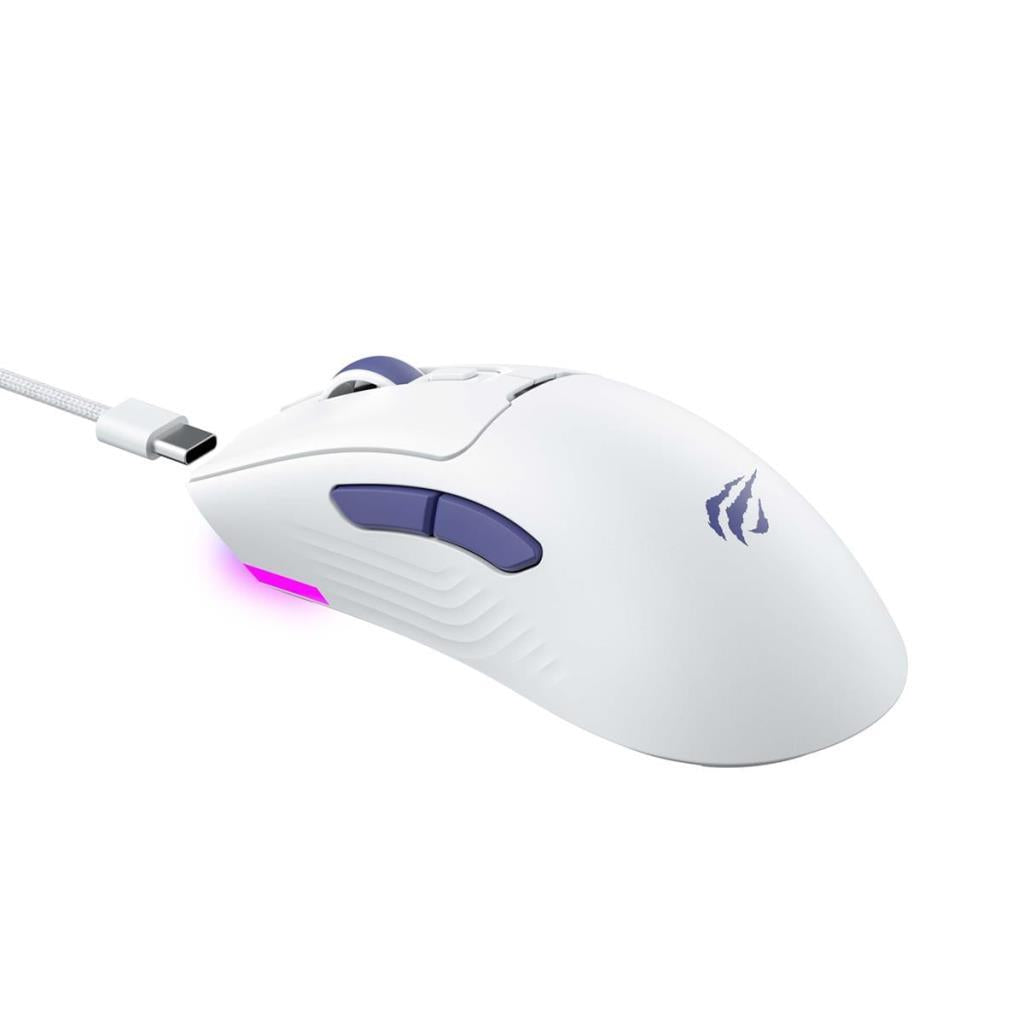 Havit Gamenote MS966WB Siyah RGB Şarjlı Optik Kablolu/Kablosuz Oyuncu Mouse - SİYAH