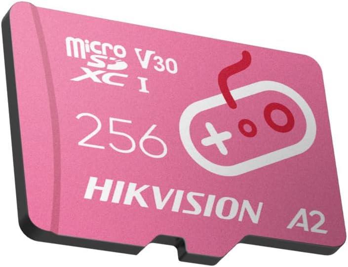 Hiksemi City Fun HS-TF-G2 UHS-I A2 V30 256 GB Micro SD Kart