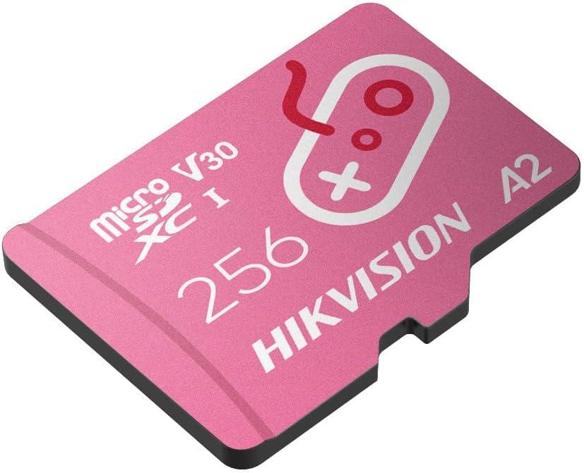 Hiksemi City Fun HS-TF-G2 UHS-I A2 V30 256 GB Micro SD Kart