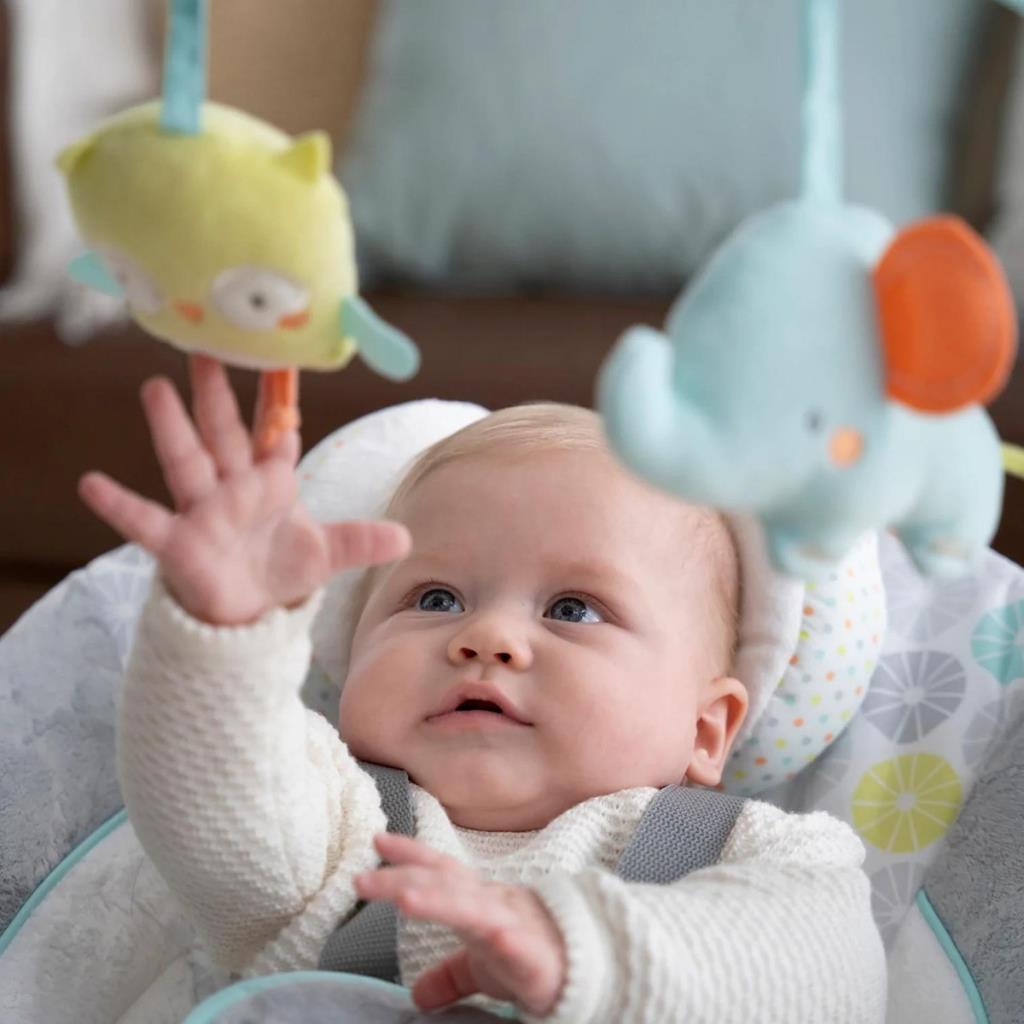 Ingenuity Swing'n Go Taşınabilir Salıncak