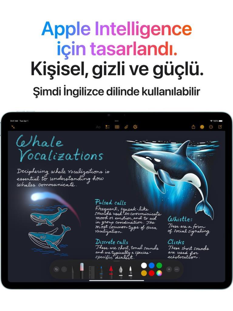 iPad Air 11 inç Wi-Fi 128GB Uzay Grisi MC9W4TU/A - Apple