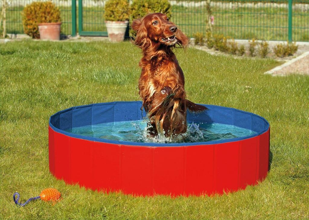 Karlie Köpek Havuzu 160cm Çap Mavi Kırmızı - Outlet