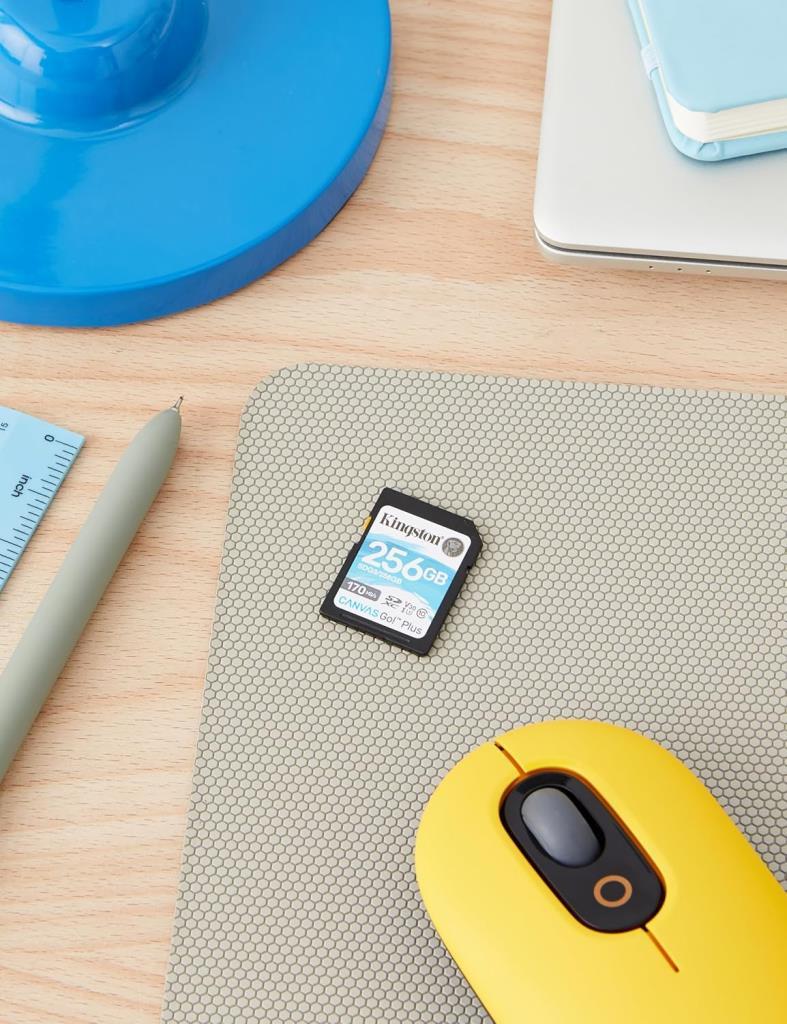Kingston Canvas Go Plus SDG3/256GB Class 10 UHS-I U3 V30 256 GB Hafıza Kartı