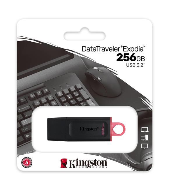 Kingston Exodia USB 3.2 Gen1 DTX/256GB 256 GB Flash Bellek - Outlet