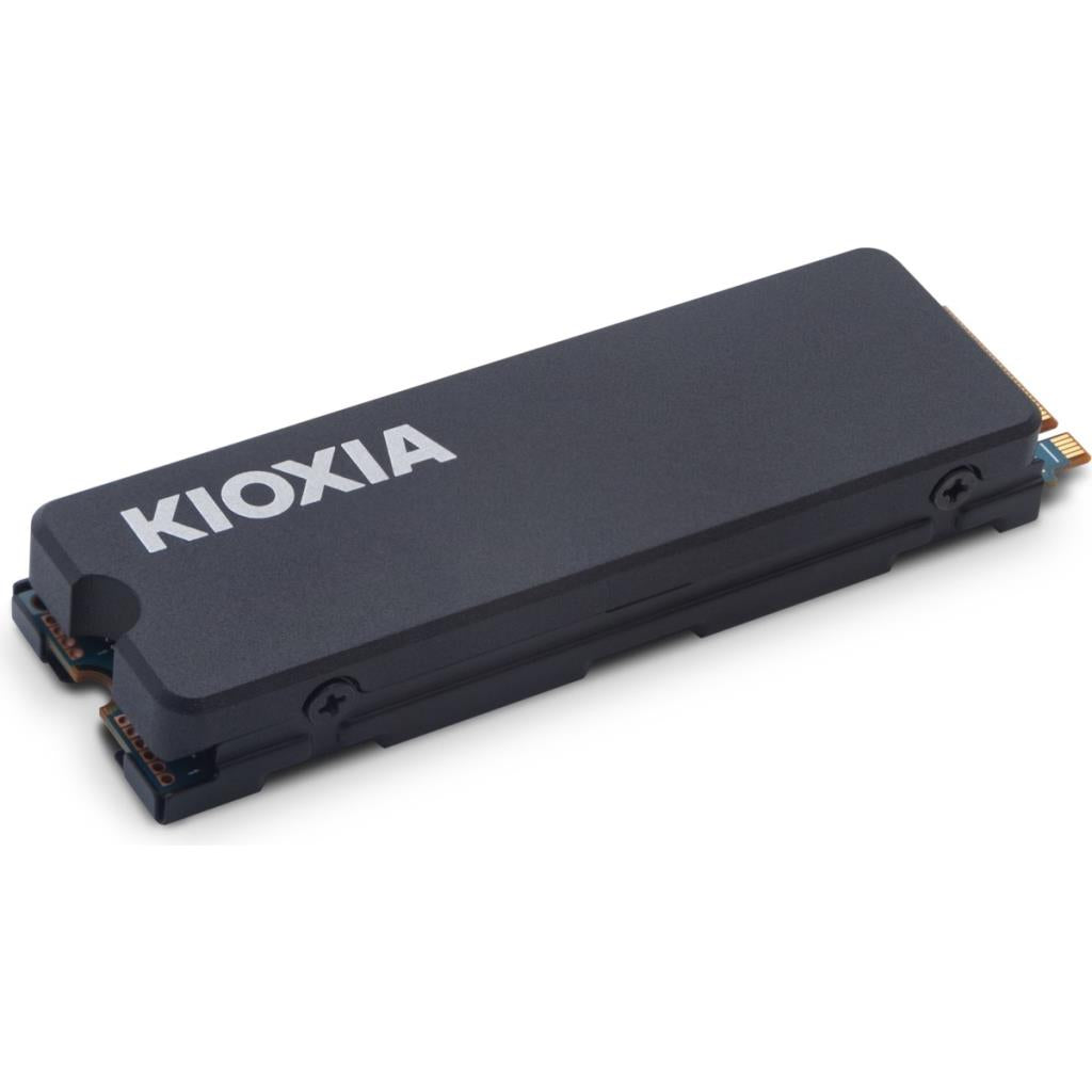 Kioxia Exceria LSC11K1T02G8 PCI-Express 4.0 1 TB M.2 SSD