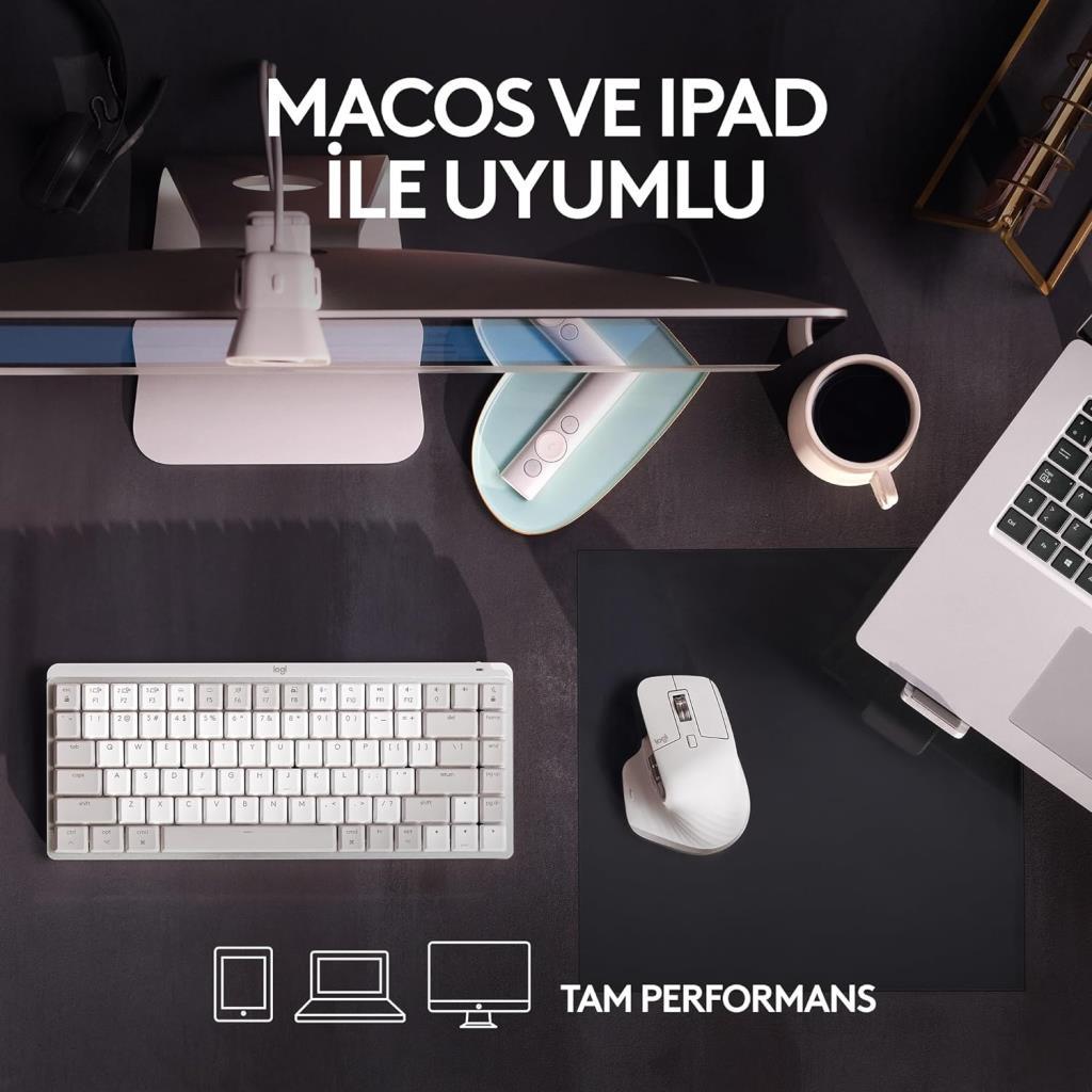 Logitech Mx Master 3S Bluetooth Lazer Mouse Açık Gri Teşhir