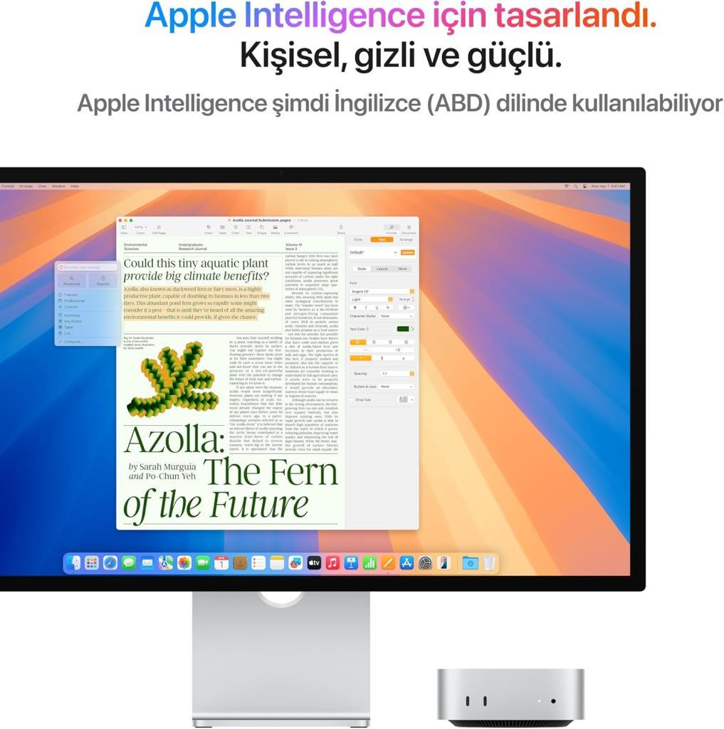 Mac Mini MCYT4TU/A Apple M4 24 GB 512 GB SSD Mini PC Outlet (Açıklamayı Okuyunuz)