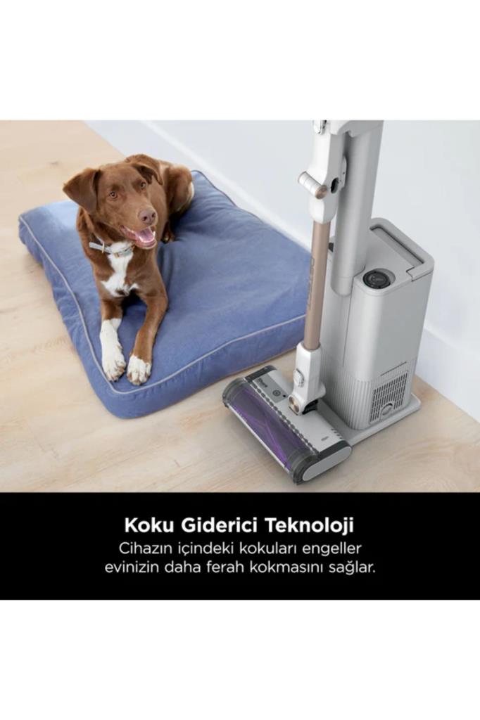 Shark Detect Auto Empty Şarjlı Dikey Süpürge Teşhir