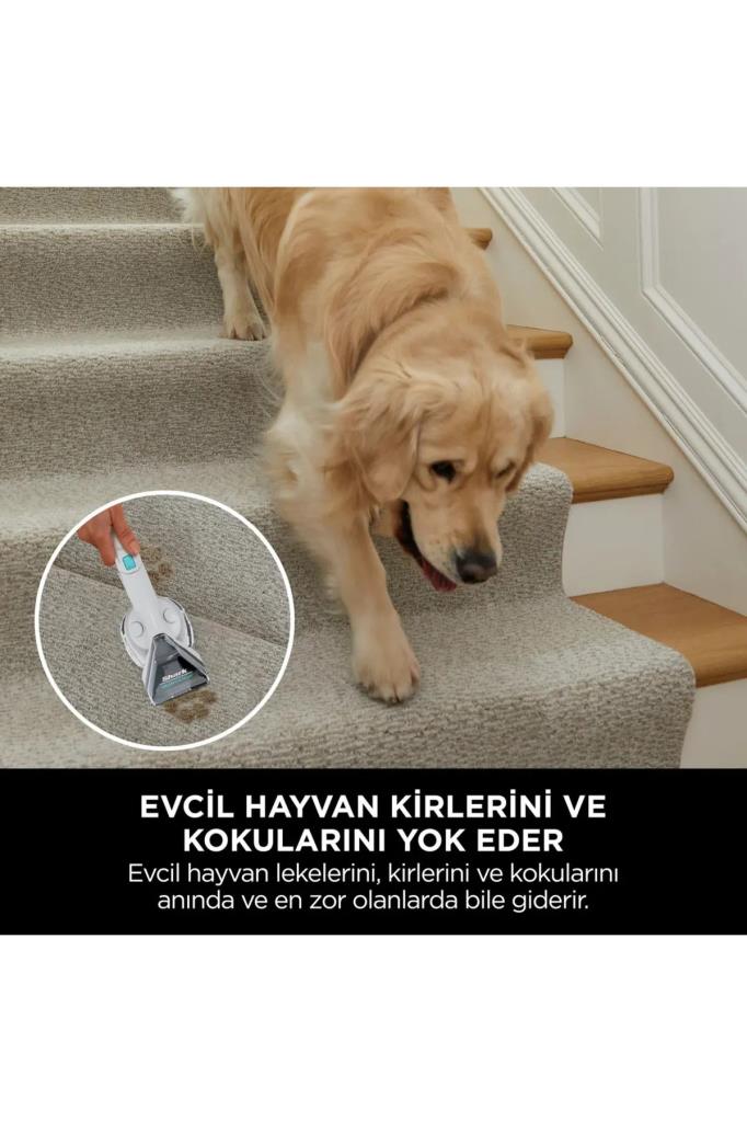 Shark Stainstriker PX200EUT Koltuk ve Halı Yıkama Makinesi Teşhir