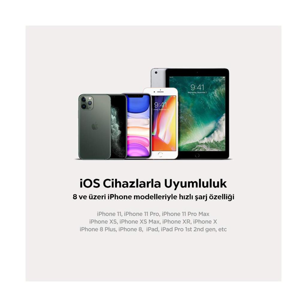 Spigen Essential C10CL 1 m Type-C to Lightning Şarj Kablosu