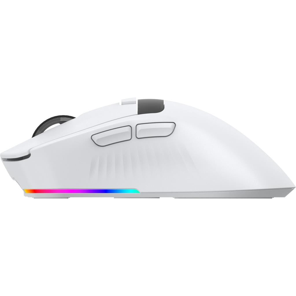 THRONE Raito RefleX 26000 Dpi PAW 3395 OLED Ekran & Makro RGB 59gr Kablosuz Gaming Mouse