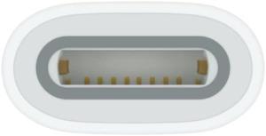 USB-C - Apple Pencil Adaptörü Teşhir