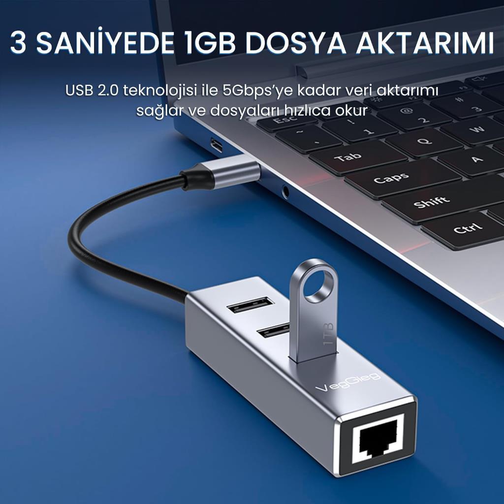 Veggieg USB 2.0 To 100MBPS Ethernet Çevirici ve 3 Portlu USB Hub Çoklayıcı