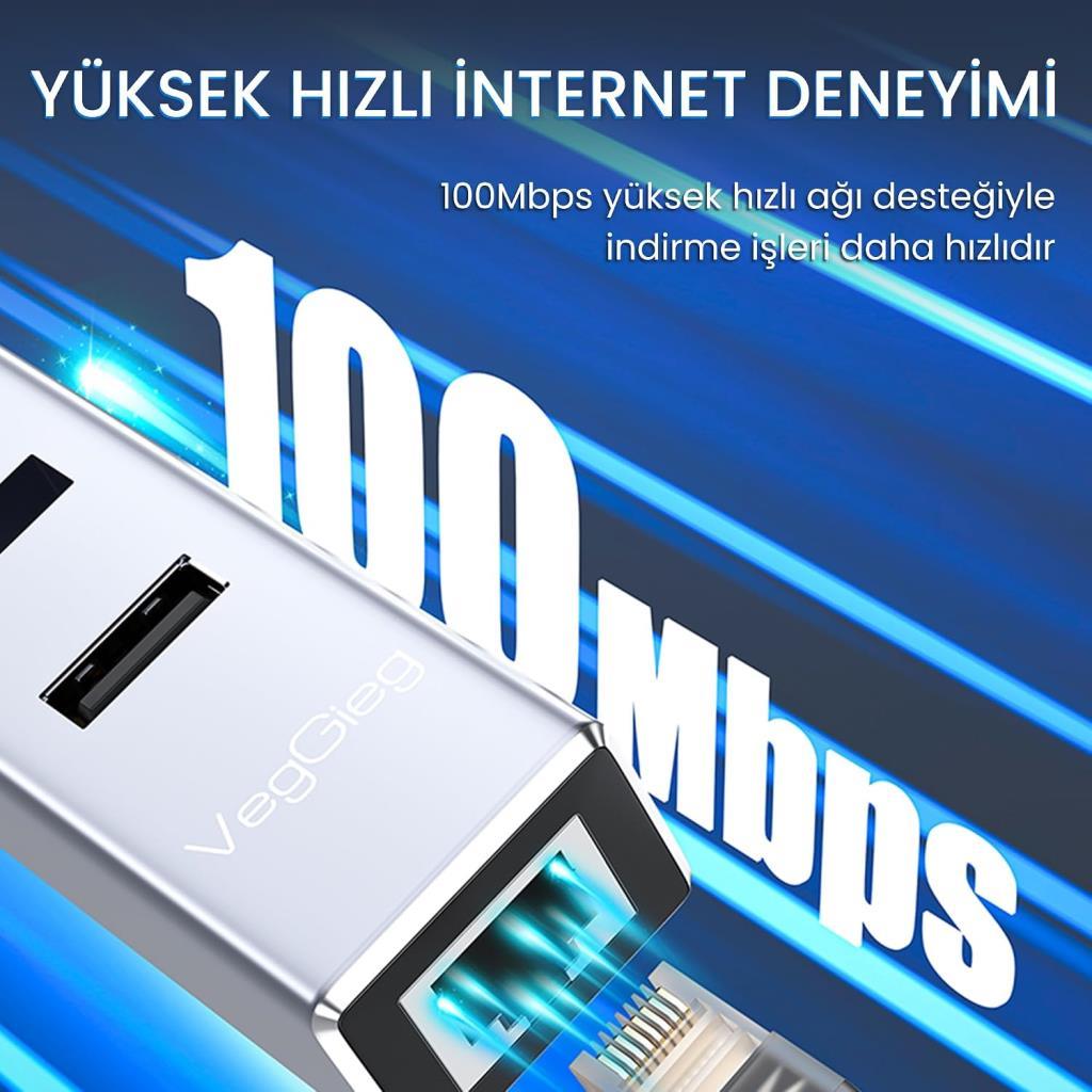 Veggieg USB 2.0 To 100MBPS Ethernet Çevirici ve 3 Portlu USB Hub Çoklayıcı