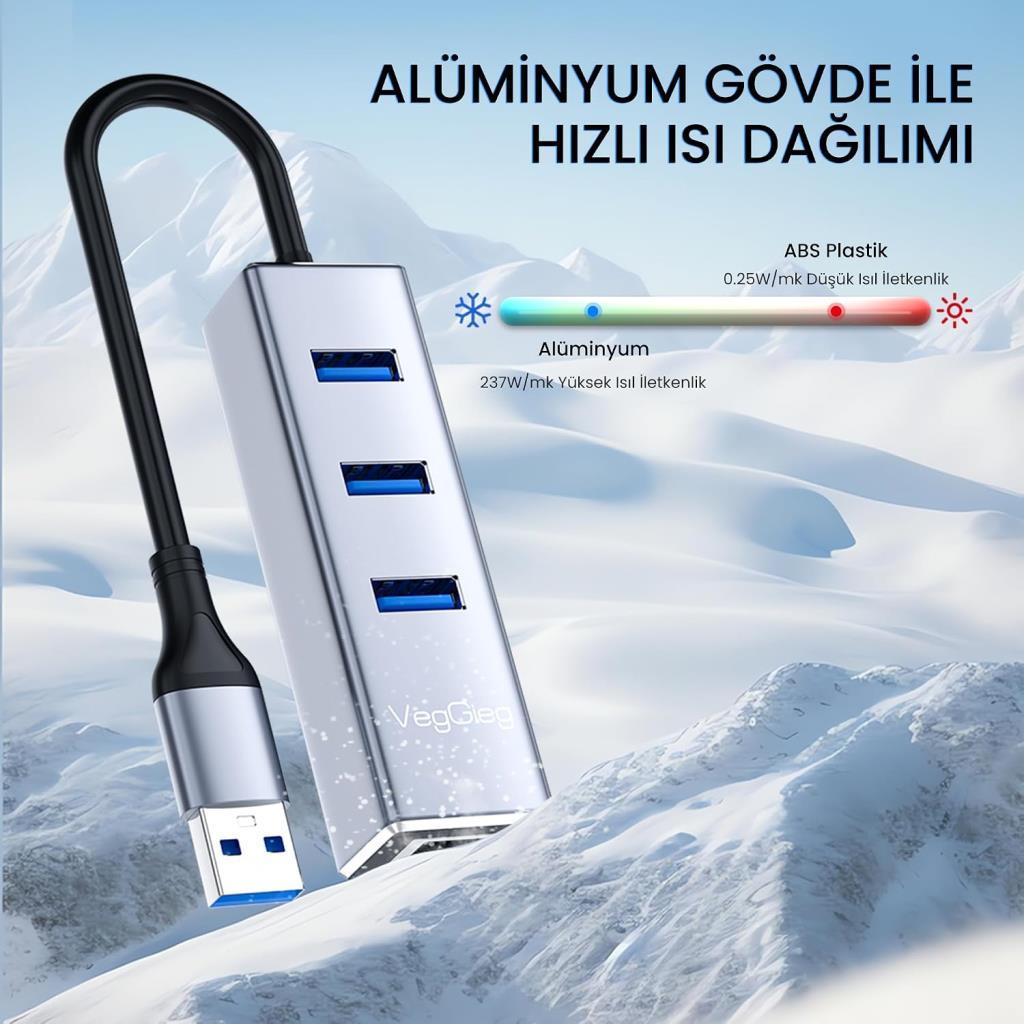 Veggieg USB 2.0 To 100MBPS Ethernet Çevirici ve 3 Portlu USB Hub Çoklayıcı