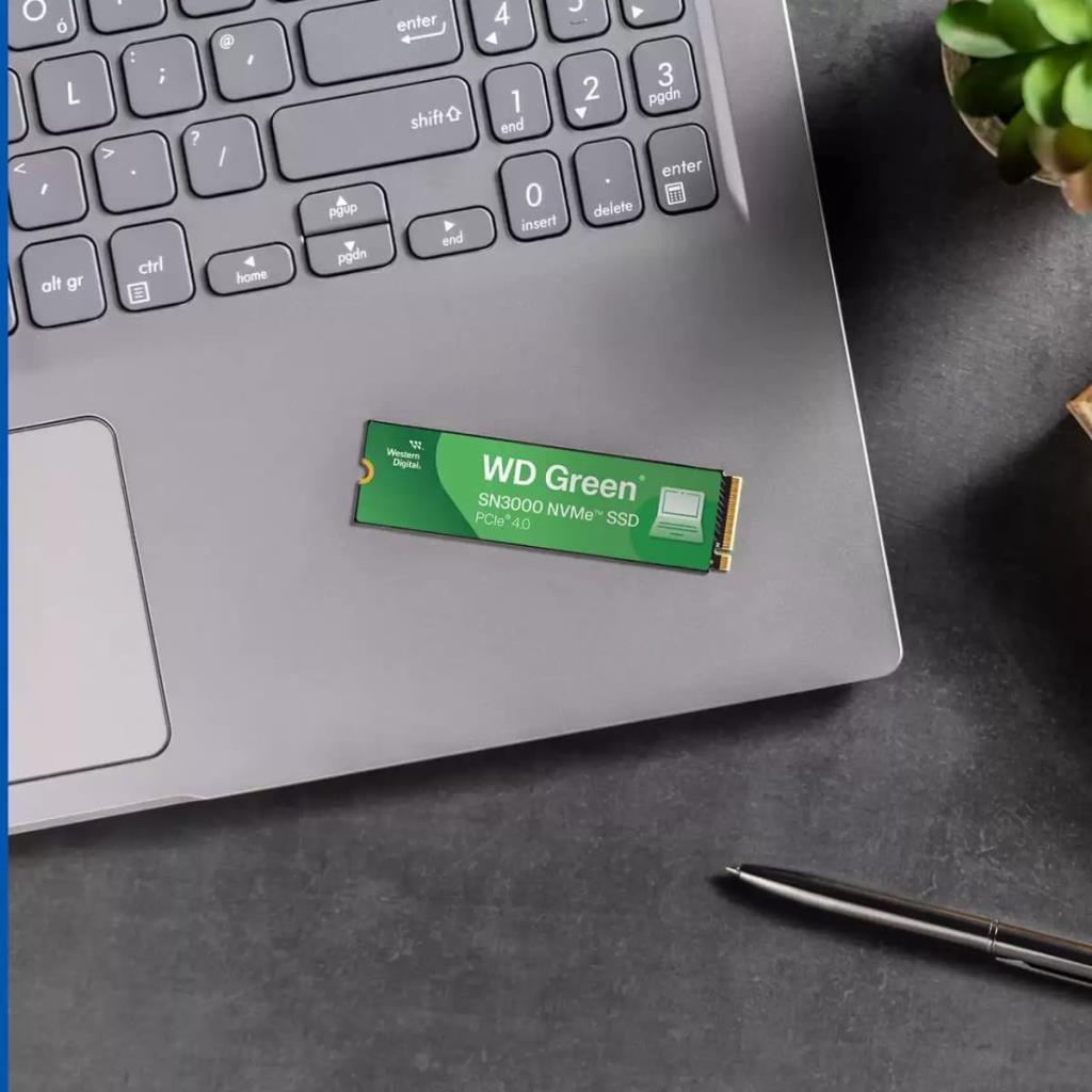 Western Digital Green SN3000 WDS100T4G0E PCI-Express 4.0 1 تيرابايت M.2 SSD