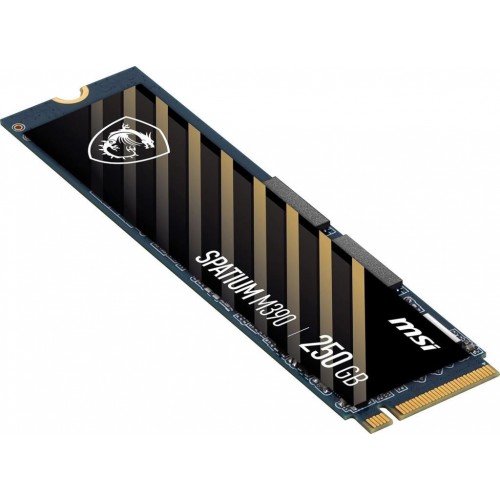 MSI Spatium M390 PCI-Express 3.0 250 GB M.2 SSD