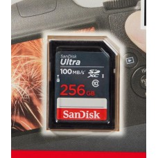 SanDisk Ultra SDSDUNR-256G-GN3IN Class 10 UHS-I U1 256 ...