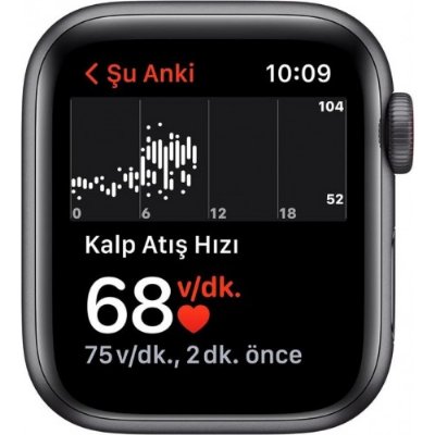 Apple Watch SE GPS + Cellular 44mm Uzay Grisi Alüminyum Kasa ve Spor Kordon Akıllı Saat - Outlet